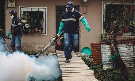 Dirección de Salud inició campaña de fumigación para eliminar mosquitos y beneficiar a más de 2.000 personas en El Fortín