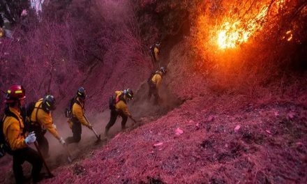 Los Ángeles en peligro de más incendios por fuertes vientos