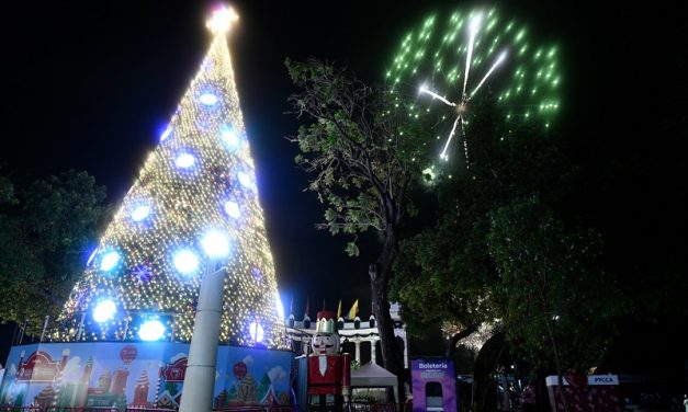 Miles de guayaquileños celebraron inicio del 2025 con show de luces y pirotecnia en el Malecón 2000