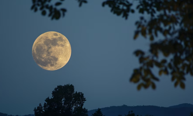 El ajuste ideal en iPhone para tomarle todos a la luna