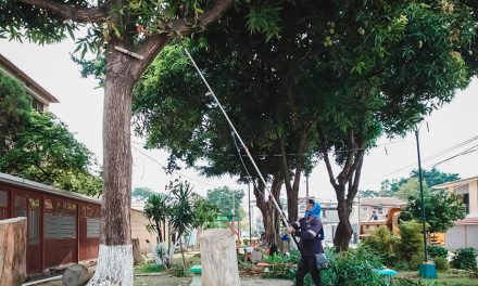 80 obreros de Parques EP realizaron jornada de mantenimiento en 16 parques en ciudadela Guayacanes