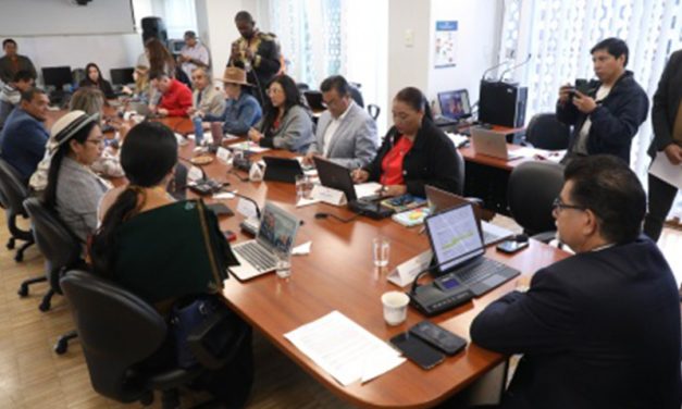 La Comisión de Participación Ciudadana avocó conocimiento sobre requerimientos de información y proyecto de ley