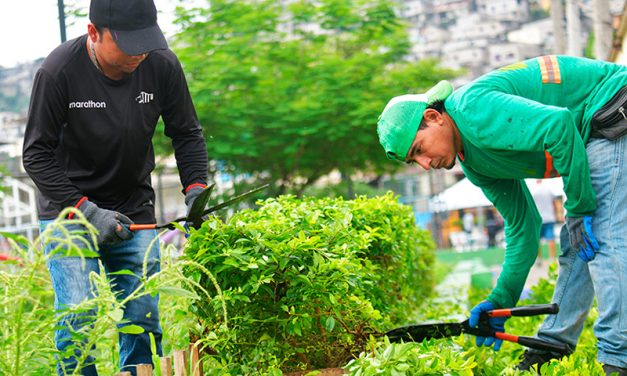 Intervención en 21 parques mejora áreas verdes en el sector Martha de Roldós