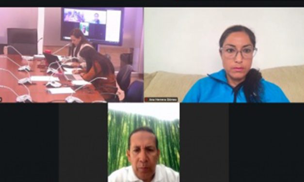 Comisión de Salud aprobó el informe para primer debate sobre el Proyecto de Ley Orgánica Reformatoria a la Ley Orgánica de Discapacidades