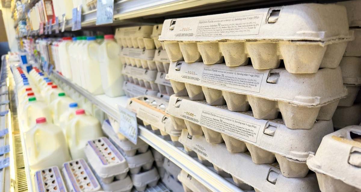 La crisis del huevo ataca EEUU: los restaurantes suben sus precios y los supermercados ya limitan las compras
