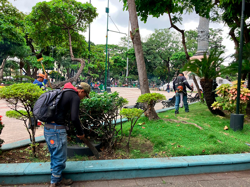 Se realizará jornada de mantenimiento integral en el Parque Centenario