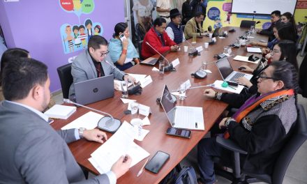 Comisión de la Niñez inició fiscalización al caso de la niña Z.B.S.C.
