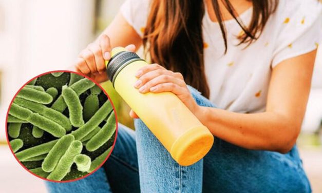 Tu tomatodo podría tener 40 mil veces más bacterias que un inodoro: ¿Sabes cómo limpiarlo?