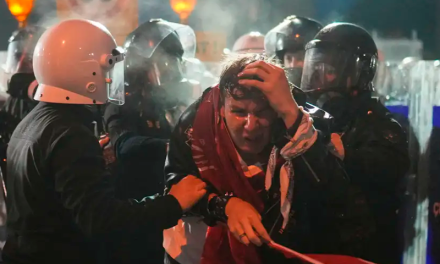 UE insta a Turquía a respetar los “valores democráticos”
