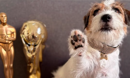 Suri, la perrita que se robó la pantalla en “Aún estoy aquí”, la película brasileña ganadora del Oscar