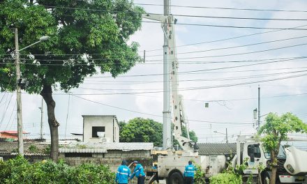 Moradores de La Alborada llaman al 181 y Parques EP responde con poda de árboles