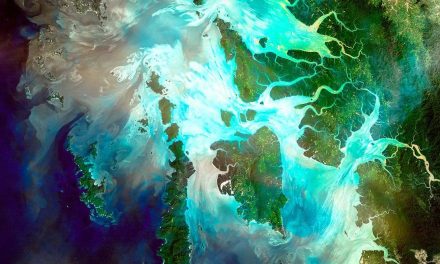 El mar puede ser la ‘sexta economía’ del mundo y se encuentra en serio peligro: hay tres billones de dólares en juego en los océanos