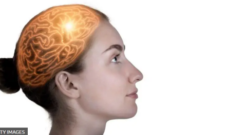 Qué son los sistemas de memoria múltiples y cómo cambiaron nuestra comprensión del cerebro