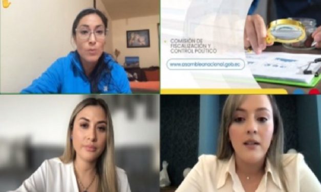 En Fiscalización se presentaron pruebas testimoniales respecto a la solicitud de juicio político contra Johanna Verdezoto, consejera del CPCCS