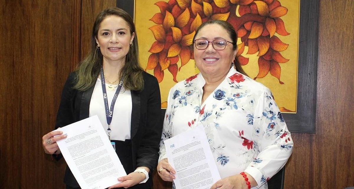 CONTRAPUNTO | Elizabeth Mero dio detalles del procedimiento en El Vaticano ante la no disponibilidad del papa