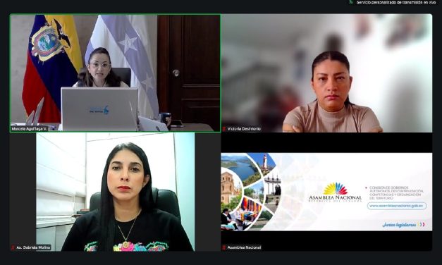 Comisión recibió información relacionada con el puente colgante colapsado en la provincia del Guayas