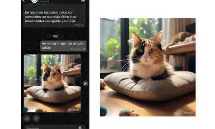 WhatsApp: todo lo que necesitas hacer para activar el “modo gato calicó” en pocos pasos