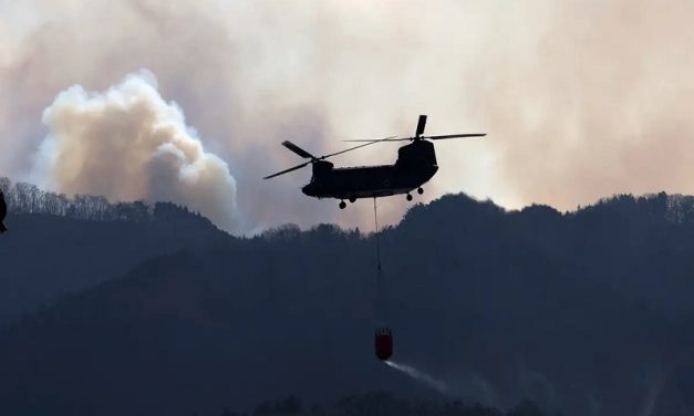 Japón: cientos de bomberos combaten enorme incendio forestal