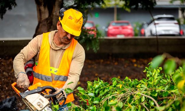 Parques EP realiza desbroce y poda de árboles a lo largo de 15 kilómetros de Vía a la Costa