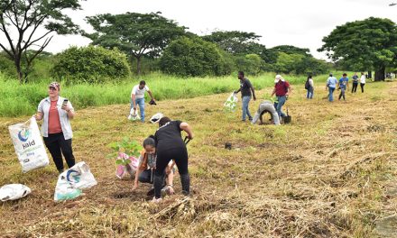Guayaquil se une a la Red de BiodiverCiudades con su propuesta para el aumento de la superficie vegetal