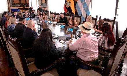 Concejo Municipal norma arrendamiento de locales en Plaza Guayarte