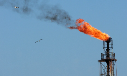 La OPEP+ incrementará su producción el triple de lo que tenía previsto y se desploma el precio del barril de petróleo