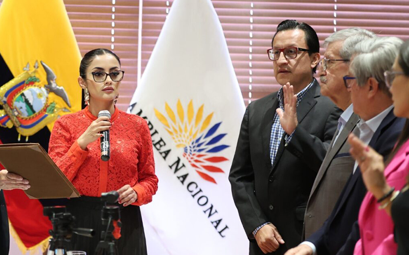 Asamblea Nacional habló sobre la posesión de David Rosero como vocal del Cpccs