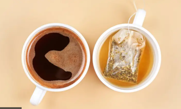 Café o té, ¿cuál es más beneficioso para nuestro organismo?