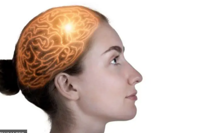 Qué son los sistemas de memoria múltiples y cómo cambiaron nuestra comprensión del cerebro