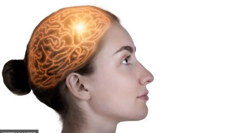 Qué son los sistemas de memoria múltiples y cómo cambiaron nuestra comprensión del cerebro