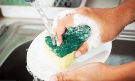 Cómo lavar la esponja de cocina para que no se convierta en un caldo de cultivo de gérmenes