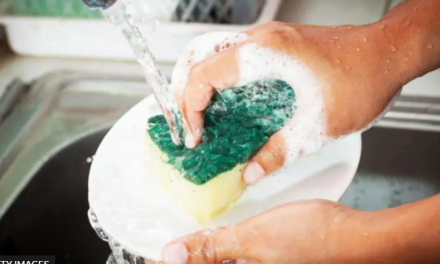 Cómo lavar la esponja de cocina para que no se convierta en un caldo de cultivo de gérmenes