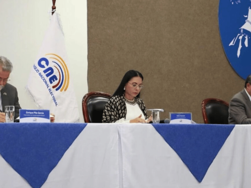 A dos semanas, CNE aún no presenta denuncias por fotos al voto