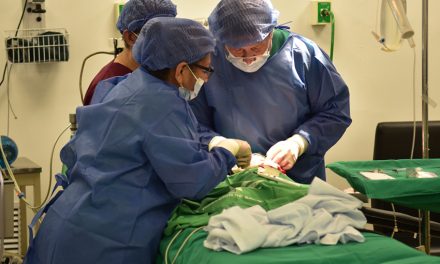 100 niños de Guayaquil se beneficiarán de cirugías gratuitas de labio leporino