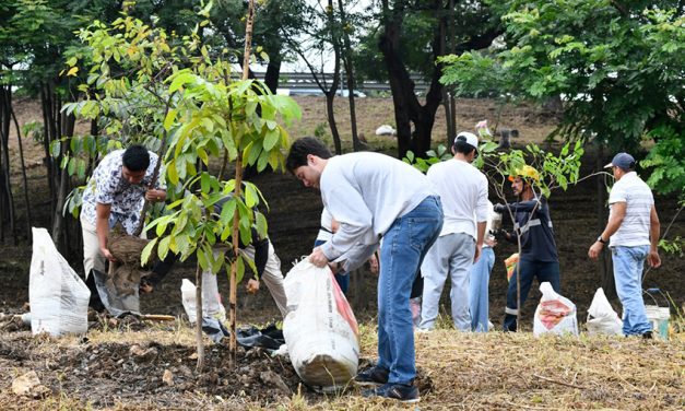 Parques EP sembró 800 árboles nativos en redondel ubicado en el km 8,5 de Vía a la Costa