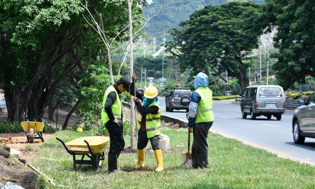 Construcción de pasos peatonales en Vía a la Costa incluye la reforestación de 3.000 m2