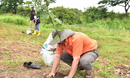 Parques EP lidera nueva jornada de “Guayaquil Ciudad que Siembra” en conmemoración del Día de la Tierra