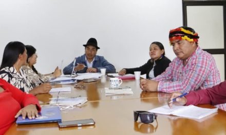 Conaie convoca a regionales para planificar su próximo Congreso Nacional