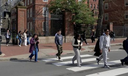 Trump congela toda nueva subvención a Universidad de Harvard