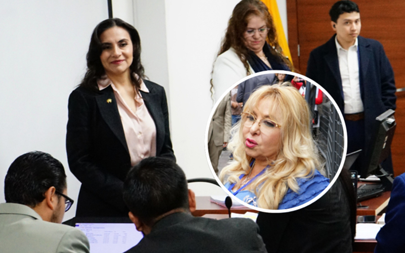 Se ratifica acción de protección a favor de Verónica Abad: ¿De qué se trata?