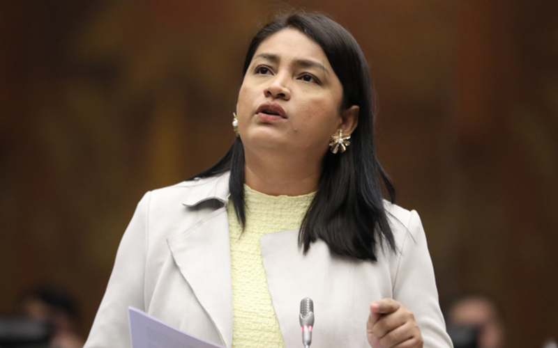 TCE ratifica sanción a Victoria Desintonio, asambleísta del correísmo