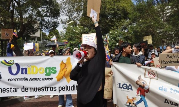 Asamblea Nacional: Animalistas esperan a la nueva comisión para revisar la LODA