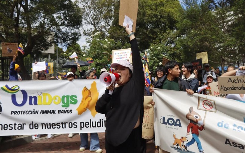 Asamblea Nacional: Animalistas esperan a la nueva comisión para revisar la LODA