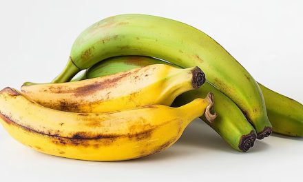 ¿Bananas verdes o maduras? Cuáles son más saludables, según los expertos
