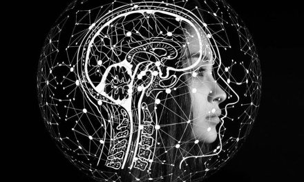 Cuáles son los efectos del magnesio en el cerebro