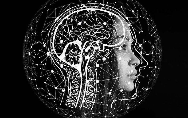 Cuáles son los efectos del magnesio en el cerebro