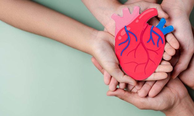 Descubren una proteína capaz de preservar la funcionalidad del corazón y evitar la muerte celular