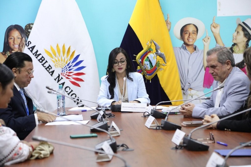 El correísmo preside una de las 15 comisiones legislativas en la Asamblea
