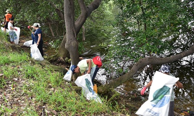 Tres toneladas de desechos se recolectaron durante minga de limpieza en Estero Salado