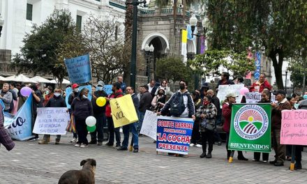 Elección de vicealcaldesa de Quito: cuatro nombres, tres bloques y la posible Alcaldía